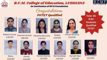 PSTET Success 2026